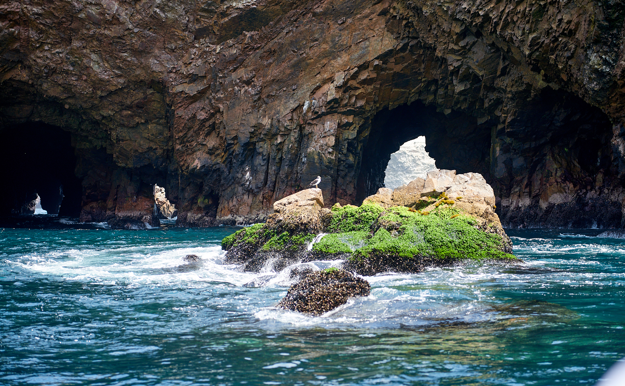 20200304 137 [페루] 바예스타섬